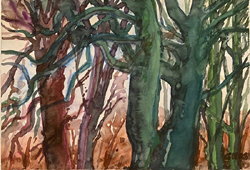 Galerie Lochner, KA7: Günter Grass, Ausstellung